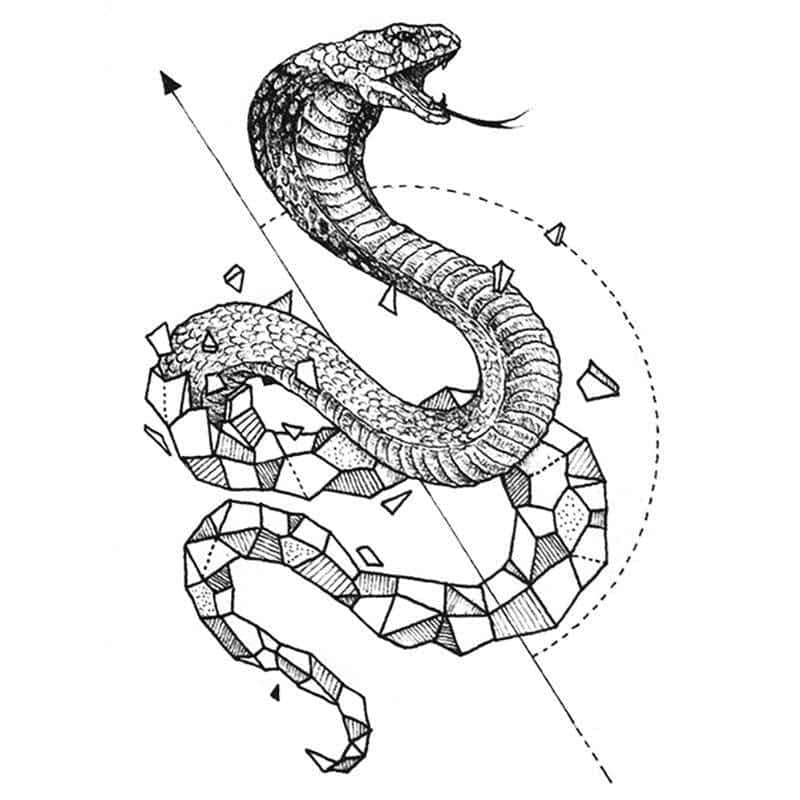Tatouage Serpent Cobra De Roche (Temporaire) – Image 2