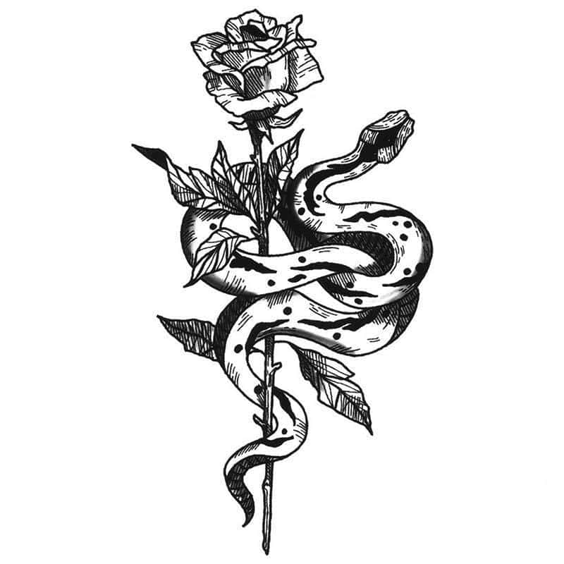 Tatouage Serpent La Rose (Temporaire) – Image 2
