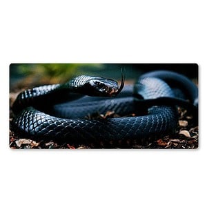 Tapis De Souris Serpent Naja