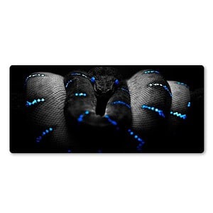 Tapis De Souris Serpent Rogue Bleu