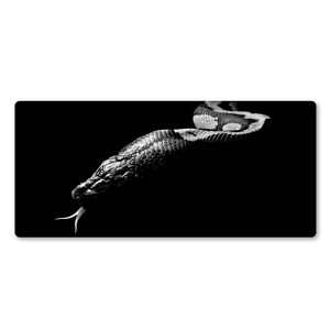 Tapis De Souris Python Regius