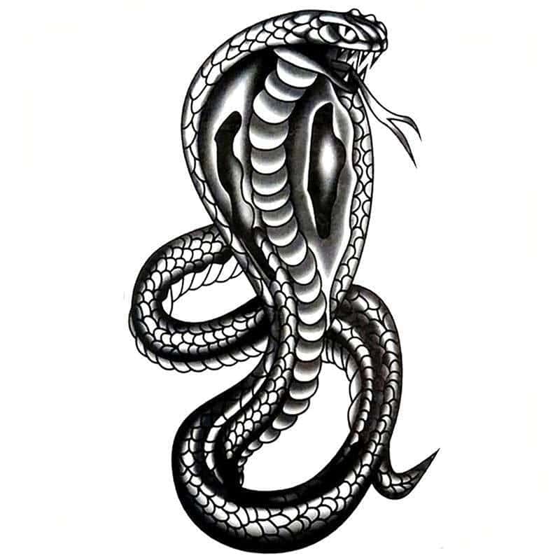 Tatouage Serpent Cobra Royal (Temporaire) – Image 2
