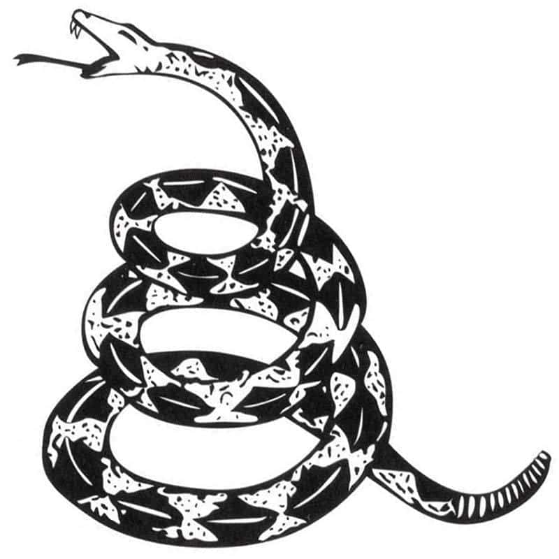 Tatouage Serpent Don'T Tread On Me (Temporaire) – Image 2